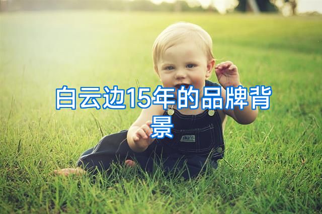 白云边15年的品牌背景